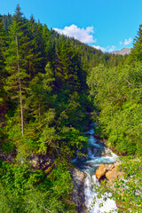 Der Pflerscher Bach im Pflerschtal (Südtirol, Italien)