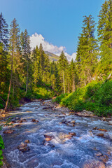 Der Pflerscher Bach im Pflerschtal (Südtirol, Italien)