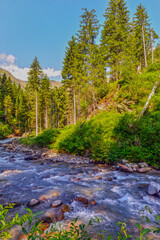 Der Pflerscher Bach im Pflerschtal (Südtirol, Italien)