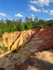 canyon of the forest