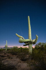 Comet C/2023 A3 (Tsuchinshan-ATLAS) over the Arizona sonoran desert