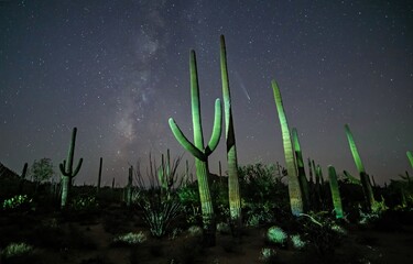 Comet C/2023 A3 (Tsuchinshan-ATLAS) over the Arizona sonoran desert
