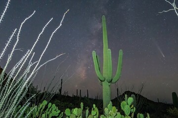 Comet C/2023 A3 (Tsuchinshan-ATLAS) over the Arizona sonoran desert