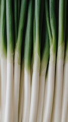 Large quantity of fresh green onions arranged in rows against a white background, showcasing their height and vibrant colors in detail, food background, copy space