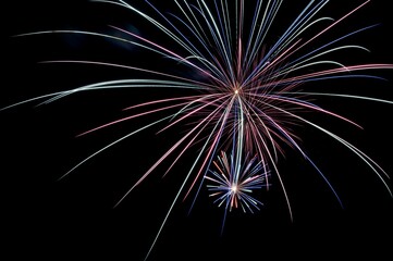 Fototapeta premium Purple and blue fireworks bursting in night sky