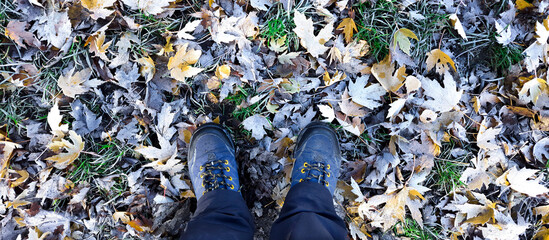 Legs in sneakers on fallen autumn leaves with frost. View from above on feet in blue trekking boots and black hiking pants. Human and nature. Earth Day. Concept of active lifestyle, change of seasons