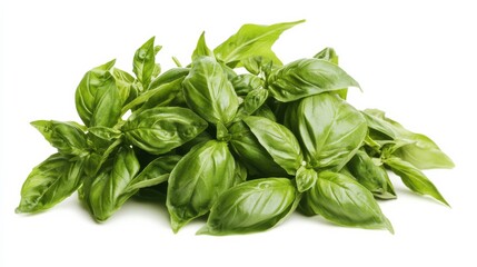 A bunch of fresh basil with its aromatic green leaves and sweet fragrance, Each leaf's bold flavor and culinary versatility captured with precision