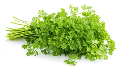 A bunch of fresh chervil with its delicate green leaves and mild anise flavor, Each sprig's aromatic scent and culinary versatility captured with precision