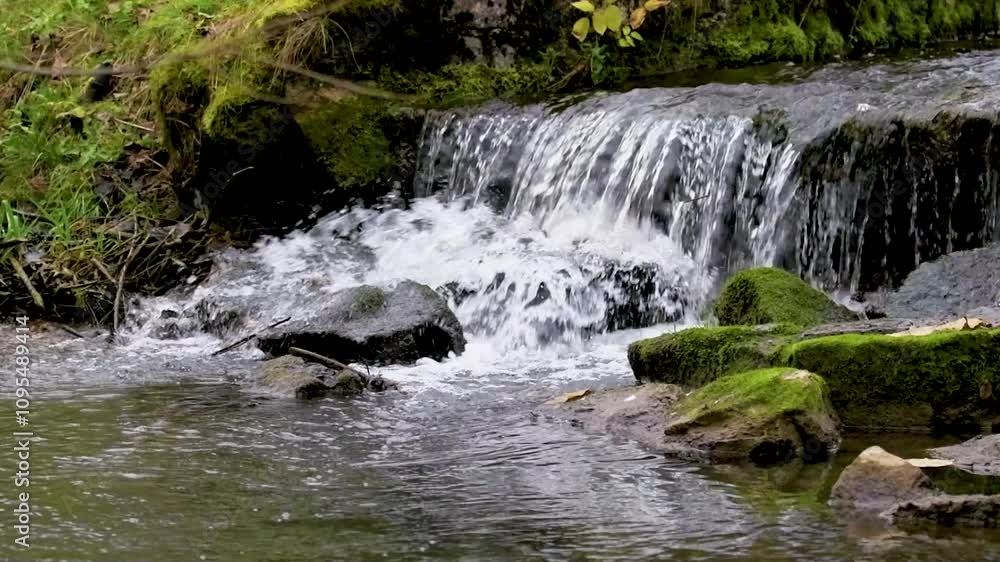 Poster tranquil stream flows over rocks surrounded by lush greenery in a serene natural setting