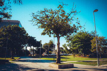 Praça aconchegante no centro do Rio de Janeiro