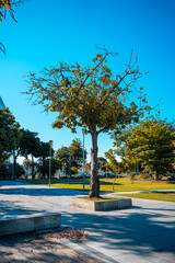 Praça aconchegante no centro do Rio de Janeiro