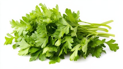 Fototapeta premium A bunch of fresh parsley leaves with their vibrant green color and herbaceous aroma, Each leaf's bold flavor and culinary versatility captured with precision