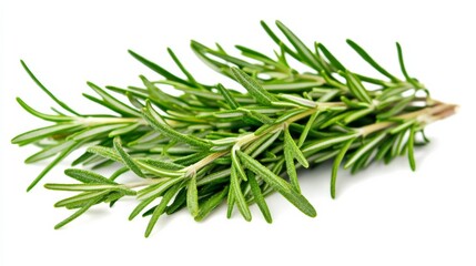Fototapeta premium A bunch of fresh rosemary with its fragrant green needles and woody stems, Each sprig's aromatic scent and vibrant color captured with precision