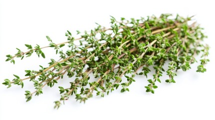 A bunch of fresh thyme sprigs with their fragrant leaves and earthy aroma, Each sprig's aromatic flavor and culinary versatility captured with precision