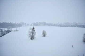 Snowfall in Belarus