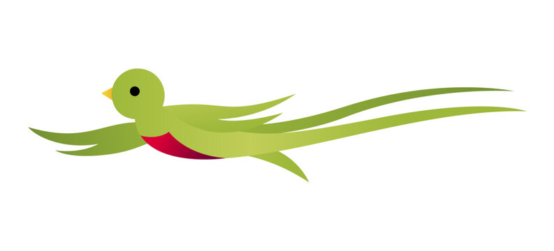 Illustration of the national bird of Guatemala, the Quetzal, flat illustration with gradients