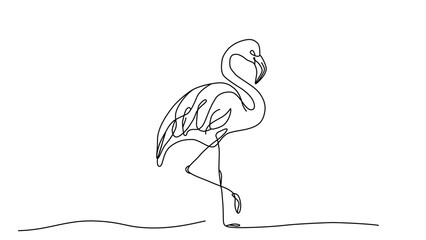 Flamingo