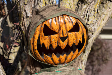 Close up view of a Halloween jack-o-lantern face and robe decoration hanging on a crabapple tree
