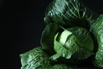 Obraz premium Whole ripe head of cabbage on dark background, closeup