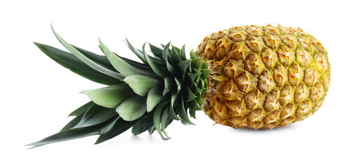 One fresh ripe pineapple isolated on white