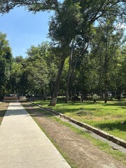 path in the park