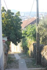 Views from the city Castelo Branco in Portugal, on May 11, 2024