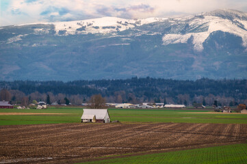 Old Red Wooden Barn with snowy hilltops in the background. The Cascade Mountains get an early dusting of snow in this rural area located in the picturesque Skagit Valley, Washington state. © LoweStock