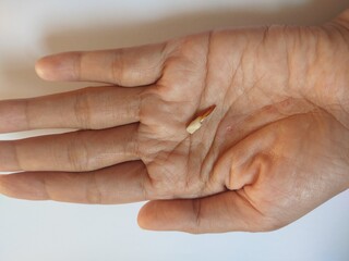 Caucasian woman palm holding a lost milk tooth still red with blood at the root, isolated on white background. Kids dentistry. Miss children teeth in female fingers with selective focus