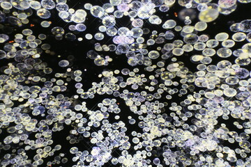 water drops on the glass