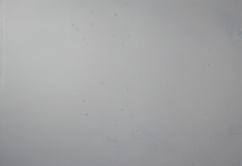 Microscopic Organisms, Grey Background, Water Sample, Cellular Structures, Life Forms, Biological Sp