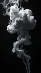 Abstract White Smoke Cloud Swirls, Artistic Ink Diffusion, Black Background