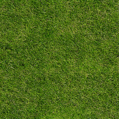 Obraz premium High-Quality Seamless Grass Texture for Natural Backgrounds and Landscapes, Perfect for Design Projects and Digital Creations