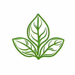 Simple Vector Outline of Three Green Leaves Designed for Natural and Organic Themes, Perfect for Eco-Friendly Illustrations in Digital and Print Media