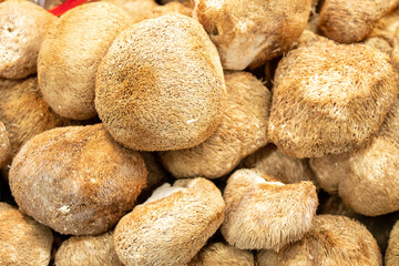 A bunch of Lion‘s Mane Mushroom-Hericium erinaceum