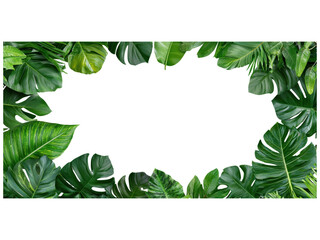 Fototapeta premium Tropical Green Leaves Frame for Background or Design