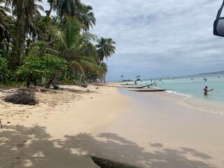 beach with palm trees