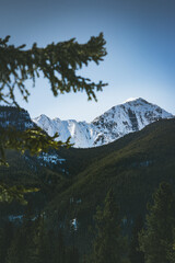 mountains in the snow