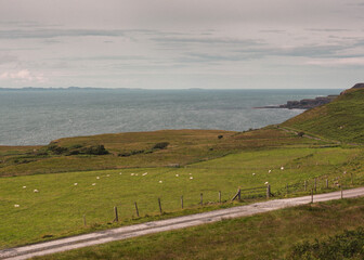 Scottish Landscape and Water with sheep