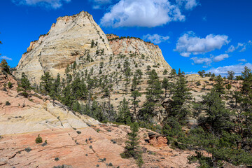 Fototapeta premium The majestic beauty of Zion National Park.