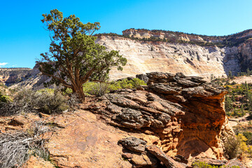 The majestic beauty of Zion National Park.