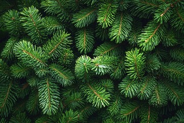 Vibrant Green Pine Needles Texture Background