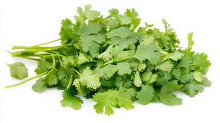 Fototapeta premium A fresh bunch of cilantro with its vibrant green leaves and delicate stems, Each leaf’s bright green color and subtle imperfections captured with precision