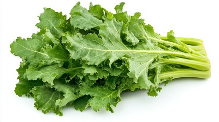 Fototapeta premium A fresh bunch of escarole with its vibrant green leaves and slightly bitter taste, Each leaf’s bright color and subtle imperfections captured with precision