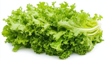 Obraz premium A fresh bunch of frisée lettuce with its vibrant green leaves and slightly bitter taste, Each leaf’s bright color and subtle imperfections captured with precision