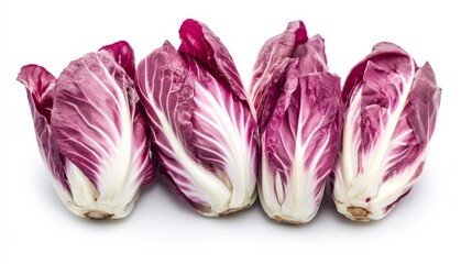 Fototapeta premium A fresh bunch of radicchio with its vibrant purple leaves and bitter taste, Each leaf’s bright color and subtle imperfections captured with precision