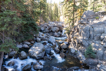 Serene Forest Stream and Rocks in Yellowstone National Park's Scenic Wilderness.