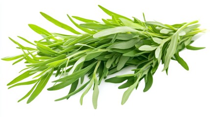 Fototapeta premium A fresh bunch of tarragon with its delicate green leaves and licorice-like aroma, Each leaf’s vibrant color and subtle imperfections captured with precision