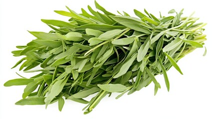Obraz premium A fresh bunch of tarragon with its slender green leaves and delicate licorice-like flavor, Each leaf’s bright color and subtle imperfections captured with precision