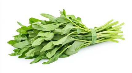 Fototapeta premium A fresh bunch of water spinach with its vibrant green leaves and hollow stems, Each leaf’s bright color and subtle imperfections captured with precision