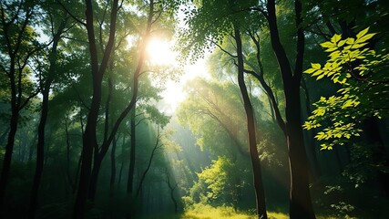 Fototapeta premium Abstracted view of green forest with sunbeam peeking through, overgrown vegetation, atmosphere of serenity, natural colors